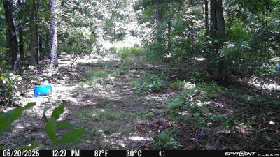 PICT1721.JPG