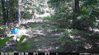 PICT1732.JPG