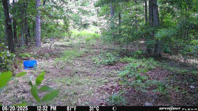 PICT1737.JPG