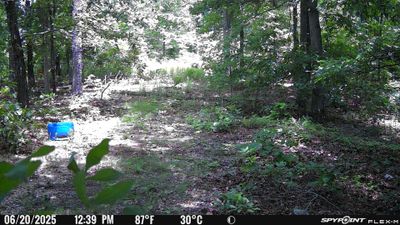 PICT1752.JPG