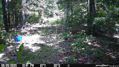 PICT1771.JPG