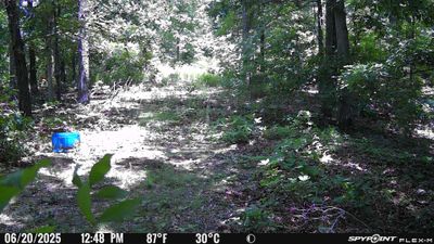 PICT1773.JPG