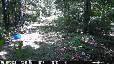 PICT1779.JPG