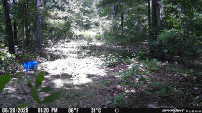 PICT1841.JPG