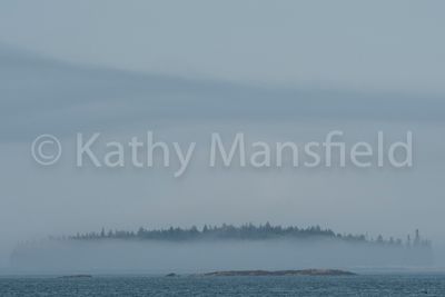 20220805-_KWM8536.jpg