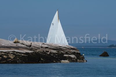 20220805-_KWM8565.jpg