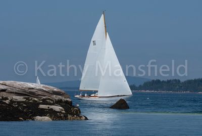 20220805-_KWM8566.jpg