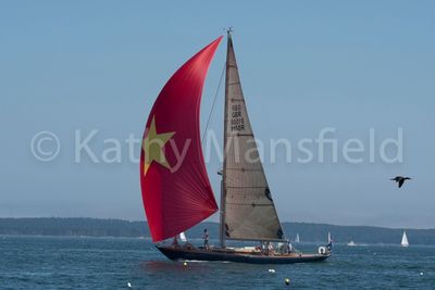 20220805-_KWM8663.jpg