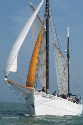 May2024-3.jpg
