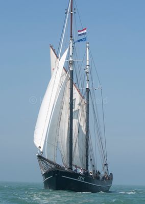 May2024-5562.jpg