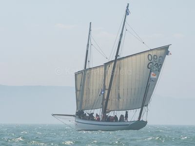 May2024-5564.jpg