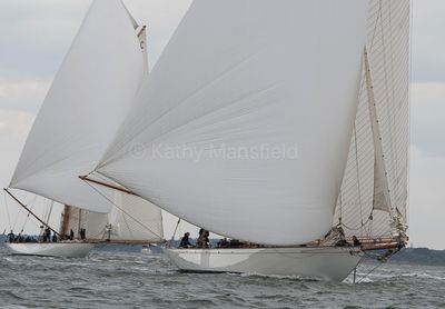 20240611-DSC_6263.jpg