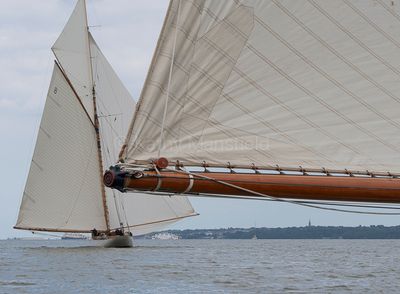 20240611-DSC_6298.jpg