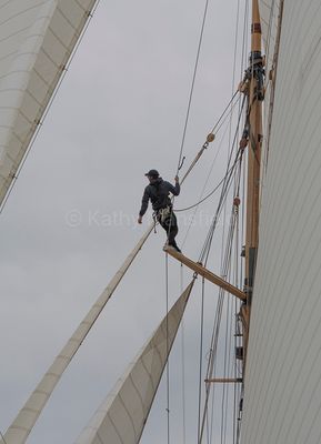 20240611-DSC_6302.jpg