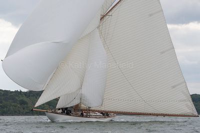 20240611-DSC_6310.jpg