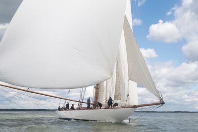 20240611-_Z6K7216.jpg