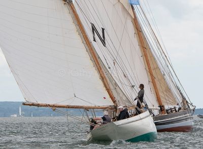 20240610-DSC_5884.jpg