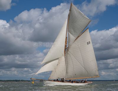 20240611-_Z6K7137.jpg