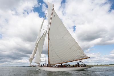 20240611-_Z6K7168-2.jpg