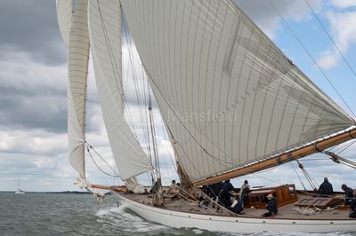 20240611-_Z6K7205.jpg