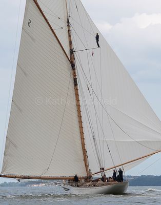 20240611-DSC_6283.jpg