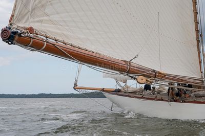 20240612-_Z6K7385.jpg
