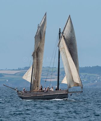20240717-DSC_6413.jpg