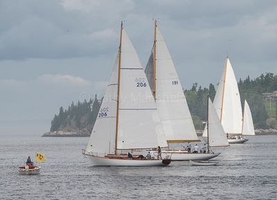 20240801-_Z6K8827.jpg