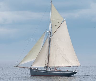 20240801-_Z6K8834.jpg