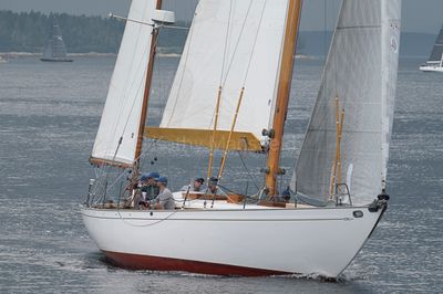 g13/53/578453/3/174774988.5bdf3290.JPEG