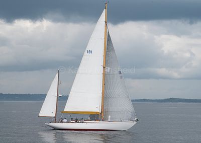 20240801-_Z6K8909.jpg