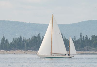 20240801-_Z6K9008.jpg