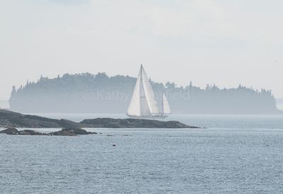 20240801-_Z6K9046.jpg