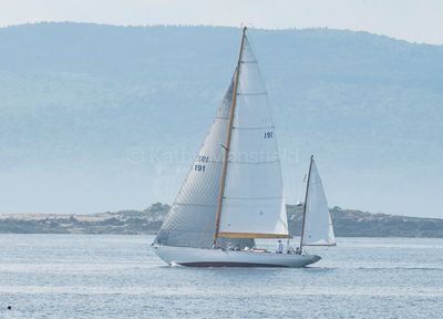20240801-_Z6K9056.jpg