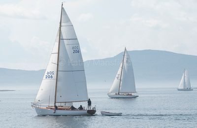 20240801-_Z6K9070.jpg