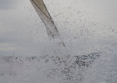 20241002-_Z6K0816.jpg