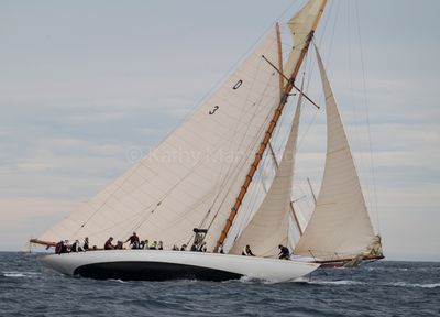 20241002-_Z6K0831.jpg