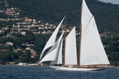 20241001-_Z6K0017.jpg