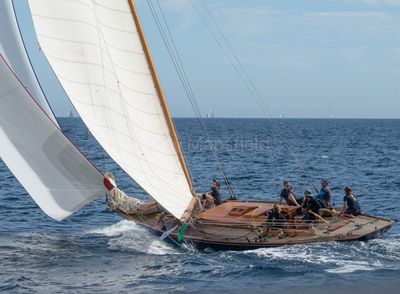 20241001-_Z6K0073.jpg