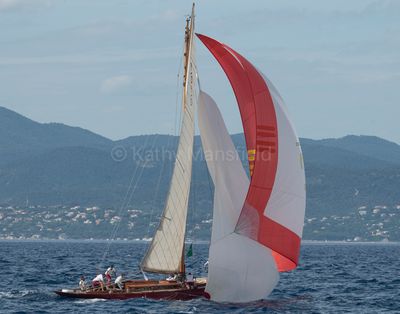 20241001-_Z6K0128.jpg