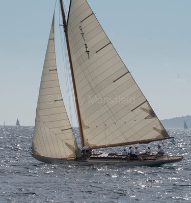 20241001-_Z6K0163.jpg