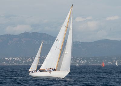 20241001-_Z6K0168.jpg