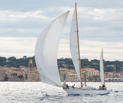 20241002-_Z6K0349.jpg