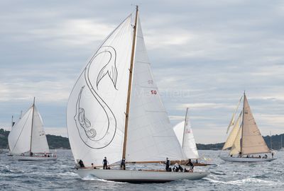 20241002-_Z6K0367.jpg