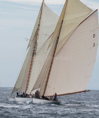 20241002-_Z6K0546.jpg