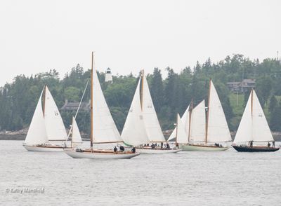 20250731-_Z6K2480.jpg
