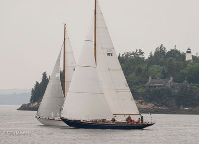 20250731-_Z6K2495.jpg