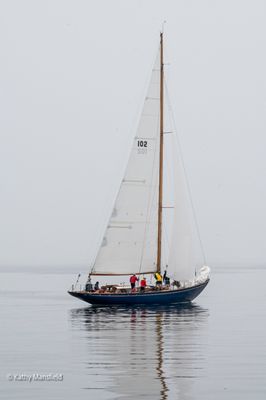 g13/53/578453/3/175673889.2386afce.JPEG