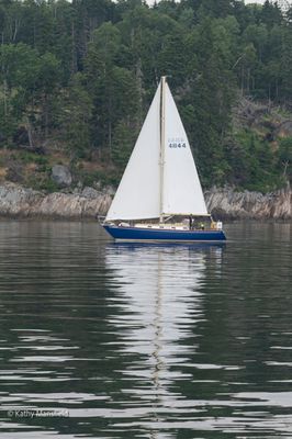 20250731-_Z6K2740.jpg