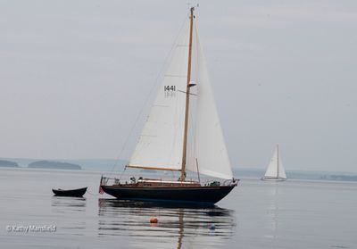 20250731-_Z6K2799.jpg